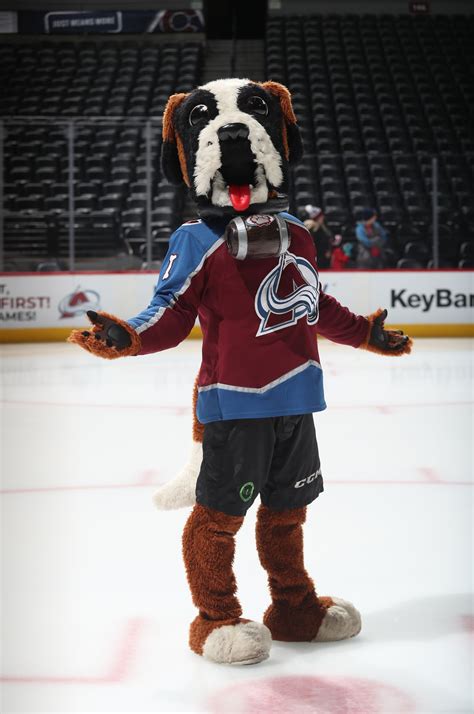 Rating The Dog Mascots In The Nhl Colorado Avalanche Hockey Colorado