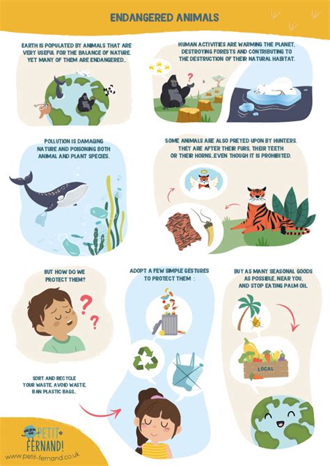 Top 187 How To Protect Endangered Animals
