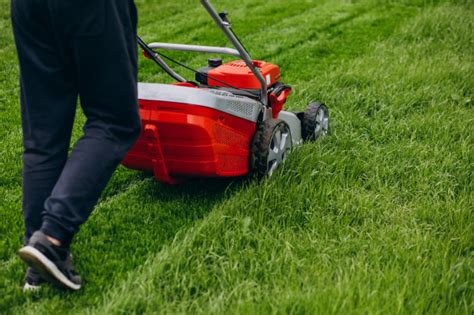 The Best Ways To Take Better Care Of Your Lawn This Winter Better