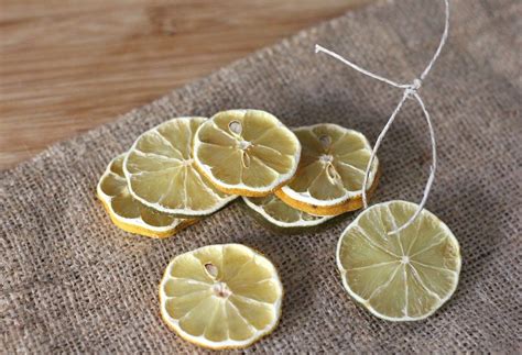 Decorative Dried Lemon And Lime Slices Dried Daily Squeeze Dried