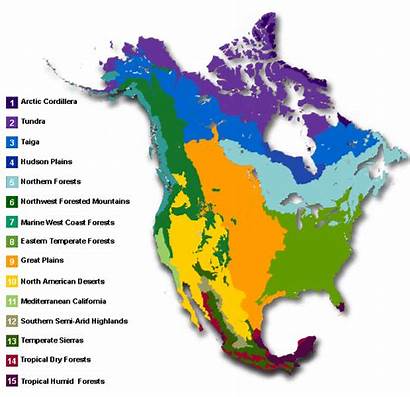 Biomes America North Biome Map Major Science