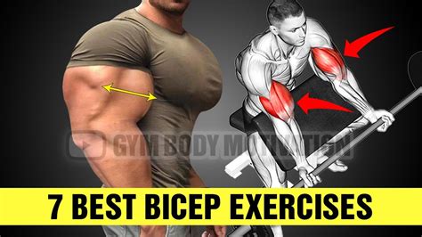 7 Quick Bicep Exercises To Get Huge Arms Cable Arm Workout