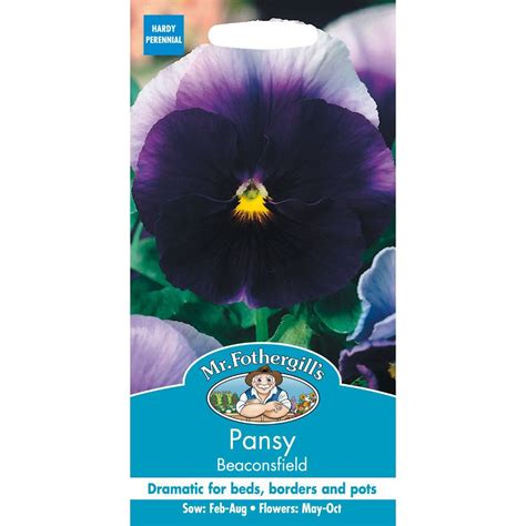 Pansy Beaconsfield Thirsk Garden Centre