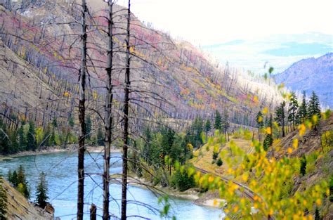 For most people, forest fire is synonymous with disaster. Kamloops ,after the fires by Tracey Nimmo / 500px ...
