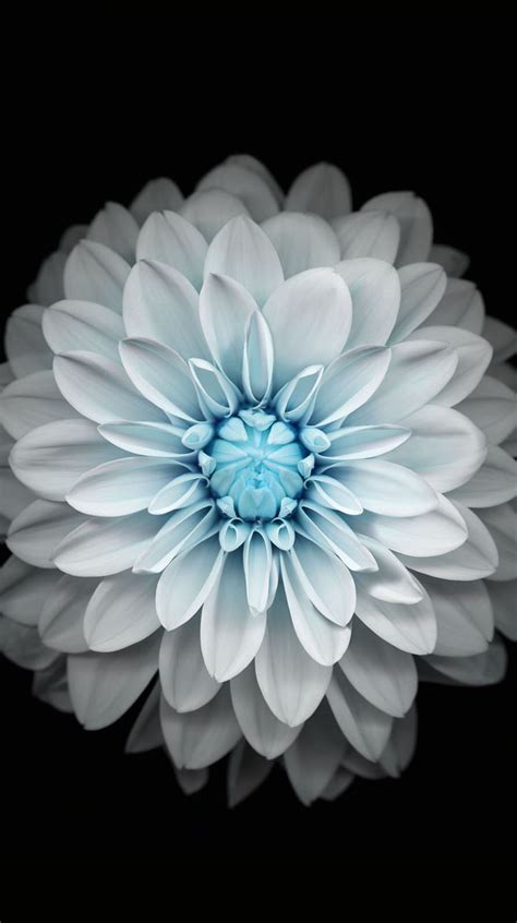 Dope iPhone 6 Wallpapers - WallpaperSafari