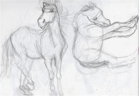 Britts Graphics Animal Drawing Practice Horses