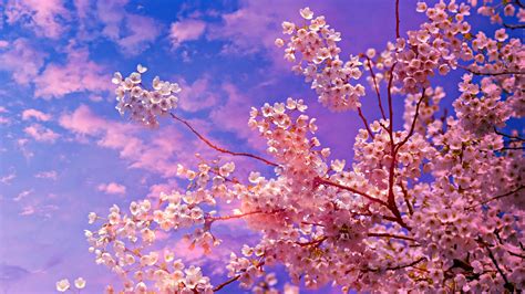 3840x2160 Cherry Blossom Tree 4k 5k 4k Hd 4k Wallpapers Images