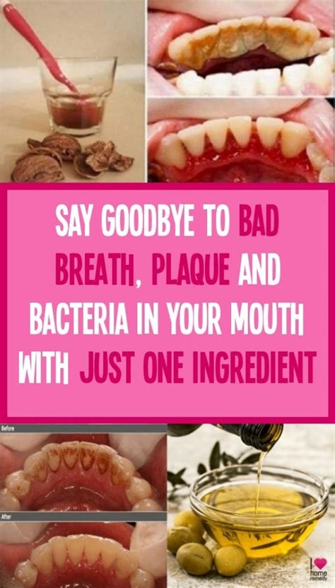 bad breath plaque and bacteria with only one ingredient in your mouth bad breath your mouth