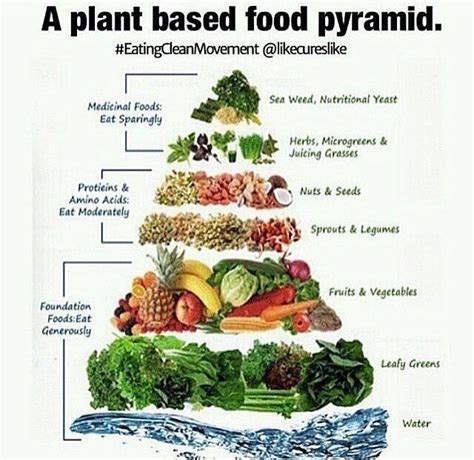 Plant Based Food Pyramid Raw Food Diet Raw Food Challenge Raw Vegan