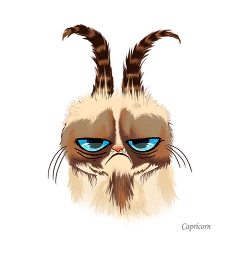 Grumpy Cat Capricorn Horoscope | Grumpy cat, Cat drawing ...