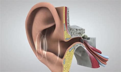 Some times i have a sound like running water on the left side and seems to crawl up my left sde of head. Crackling Sound in Ears: Symptoms, Causes and Treatments