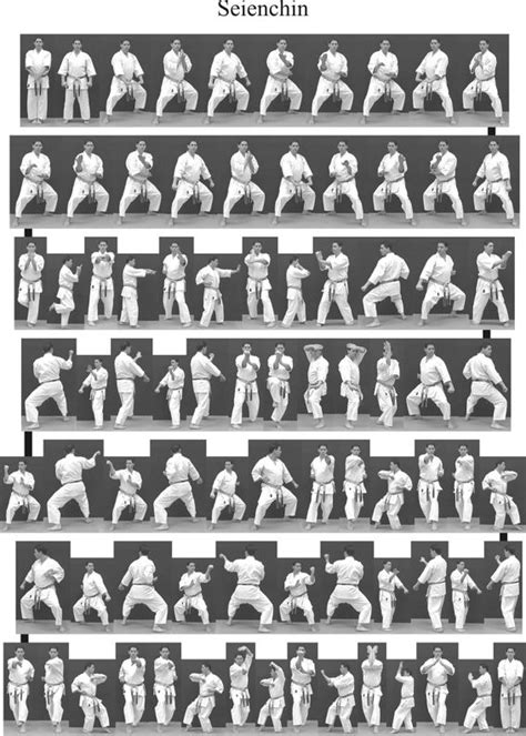 A proficient and proven martial artist, sensei roscoe has won multiple martial arts titles including world champion black belt kumite in 1995. 70 best Karate Forms images on Pinterest | Combat sport ...