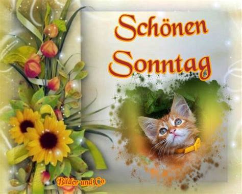 Hier findest du die besten bilder, fotos. WackeldackelXL49 — The Sims German