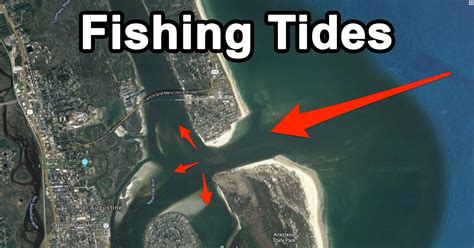 Fishing Tides Everything You Need To Know Best Tide Reading Charts
