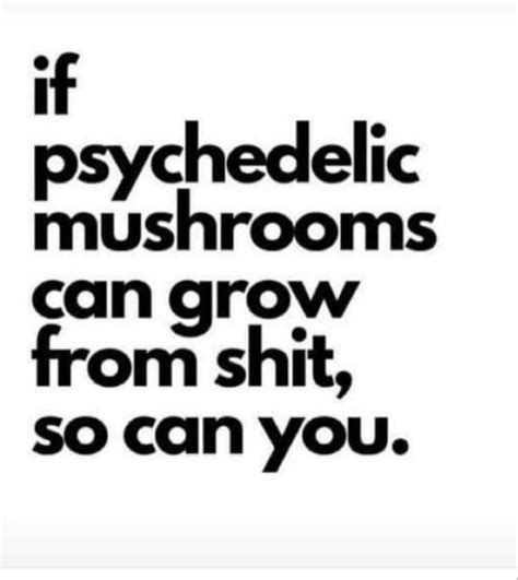 Well Shit Magicmushrooms