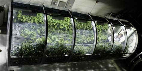 Nasa Is Learning To Grow Plants In Space And On Other Worlds Eco