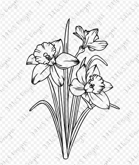 Narcissus Daffodil Svg Png Cut File for HTV / Vinyl / Cutting | Etsy