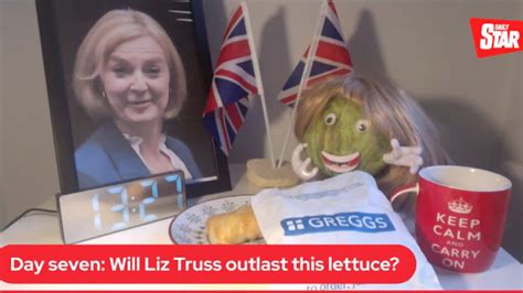 Lettuce Outlasts Uk Prime Minister Liz Truss In Viral Daily Star Video