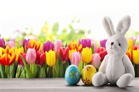 Easter Zoom Background Fotos Ostern Englisch Mehrfarbige Eier 3d