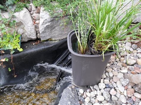 With the right aeration system in place, you can enjoy clear, clean water that lets you and others enjoy the view. How to Clear Green Pond Water | Dengarden