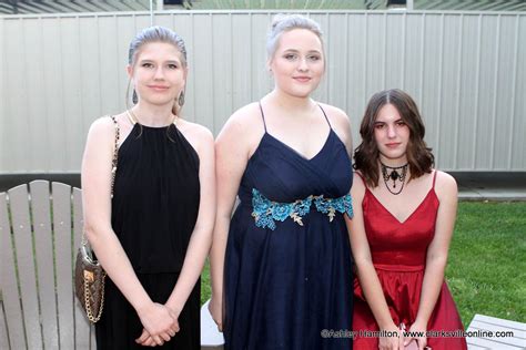 My granddaughter was at her breaking point…thsc showed us the correct way to homeschool her! Homeschool Prom Dresses - Fashion dresses