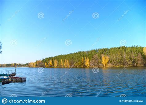 Beautiful Autumn Landscape With Clear Blue Lake And Yellow Autumn Trees