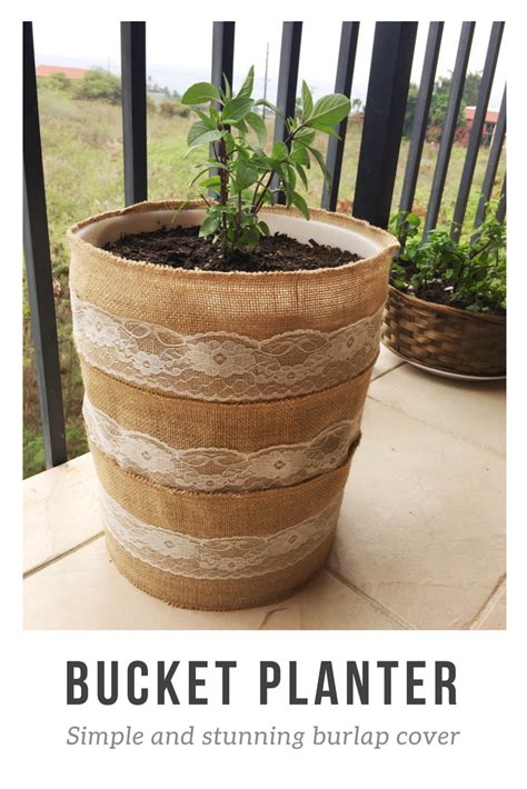 Recycled bucket gardening container for apartment dwellers forums. Turn a 5 gallon bucket into a planter for your potted ...