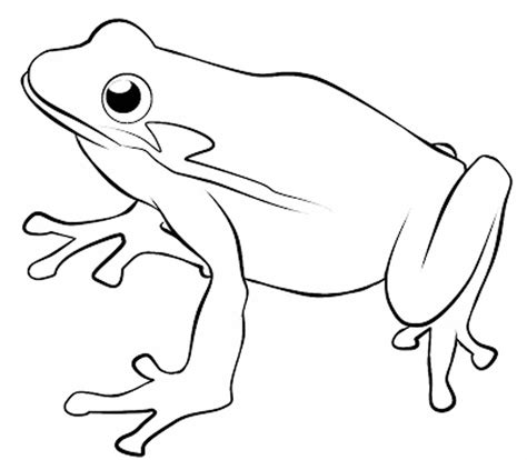 Free Printable Coloring Pages Of Frogs Coloring Home