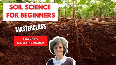 How To Build Great Soil A Soil Science Masterclass With Dr Elaine