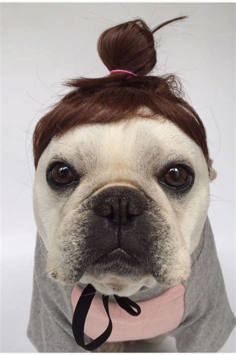 Cute Hair Wig For Dogs