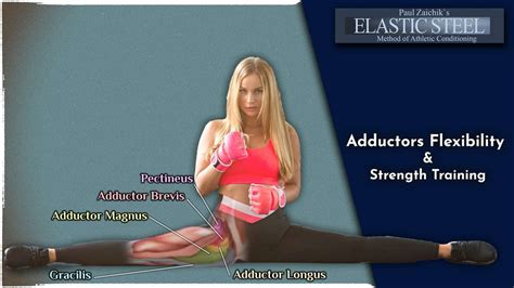 Adductors Flexibility And Strength Training — Elasticsteel