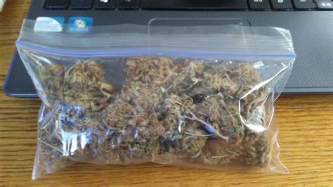 For bitcoins, the time of day any bitcoin was bought or sold makes investor performance vary wildly. What's 80 to 100 dollars worth of weed suppose to look ...