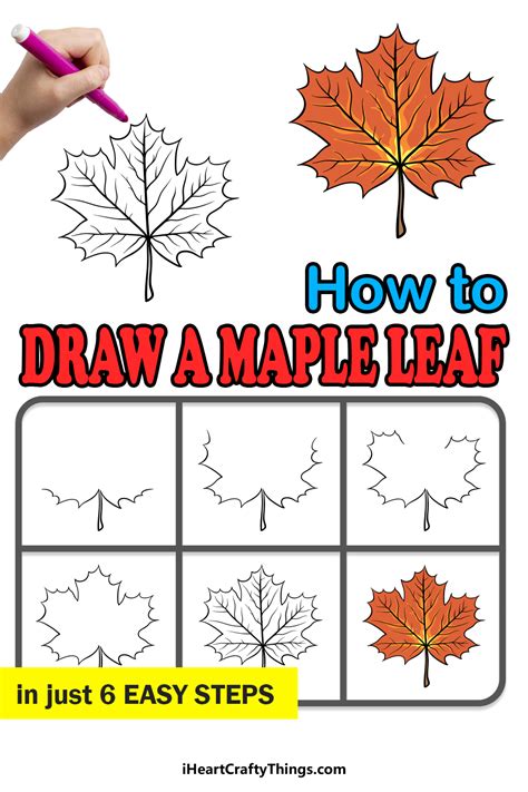 How To Draw A Maple Leaf Step By Step Easylinedrawing