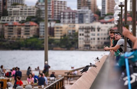 What the rules are in nsw and how to stay safe whether you are working, visiting family and friends, or going out. Sydney reintroduces COVID-19 restrictions