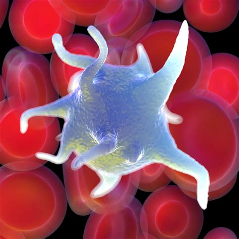 Was wären meine (potentiellen) werte für eine umfassende(re) diagnose? Platelet Rich Plasma (PRP) Gilbert, Chandler, AZ: Neck Pain