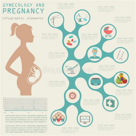 gynecology and pregnancy infographic template motherhood elemen stock vector illustration of