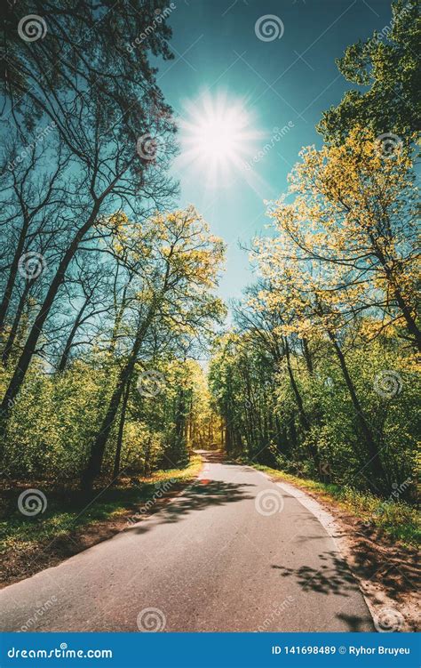 Landscape With Curvy Road At Bright Summer Day Stock Photo Download 1c9