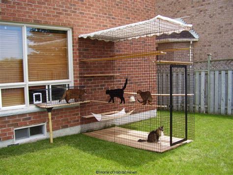 Outside Kitty Enclosures For Your Inside Cats To Have A Fun Outside
