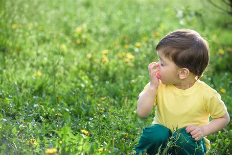 What Causes Common Spring Allergies Spring Allergy Symptoms