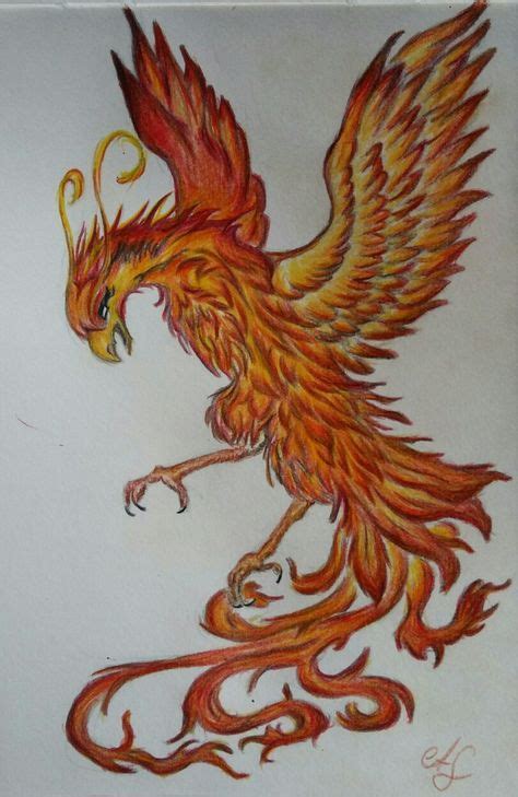 Phönix gezeichnet nach Vorlage (colour pencils) | Zeichnungen, Phoenix zeichnung, Zeichnen