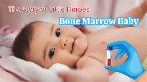 Whats Bone Marrow Donation Bone Marrow Baby