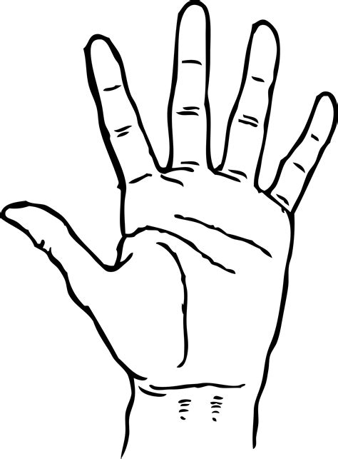 Cupped Hands Drawing Free Download On Clipartmag