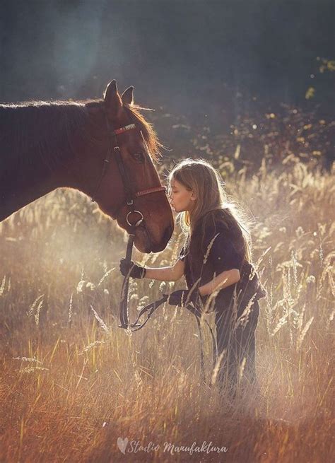 25 Horse Photography Tips Take Great Equine Photography Horse