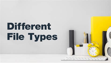 The Different Types Of Files And How To Use Them