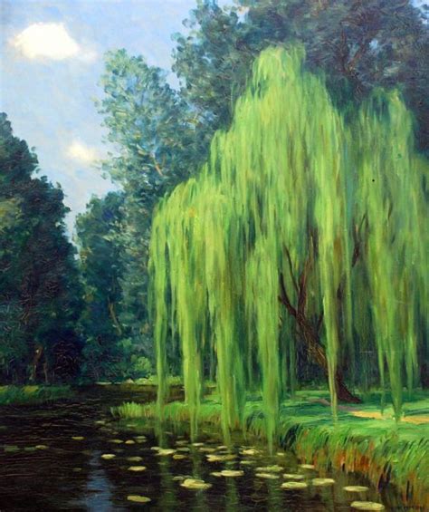 Popular Concept Willow Tree Art Artsy Pictures