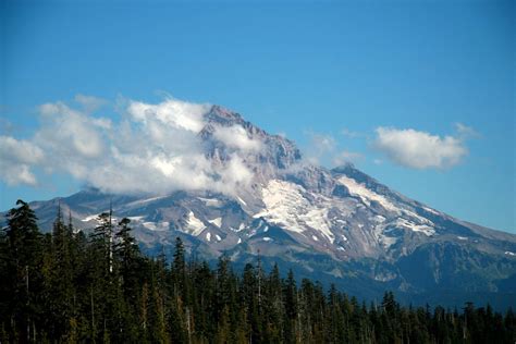 Mount Hood Oregon In The Summer Free Photo Download Freeimages