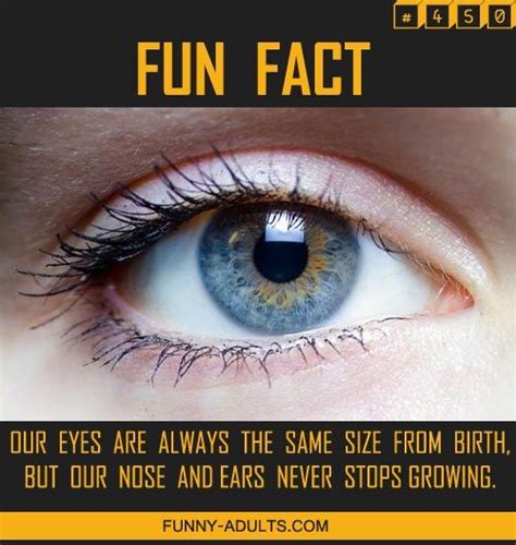 Funny Adults Wow Facts Fun Facts Facts