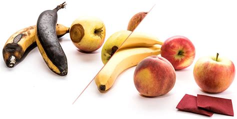 The Root Of Bad Fruit Good Fruit Vs Bad Fruit Part 2