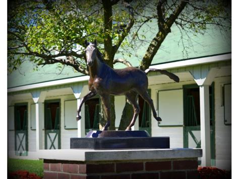 Best dps pets for marksmanship and survival hunters. Grosse Pointe Hunt Club USEF Pony Show Gallery | Grosse ...