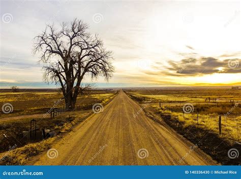 Lone Tree Next To Weld County Colorado Country Dirt Road Stock Photo